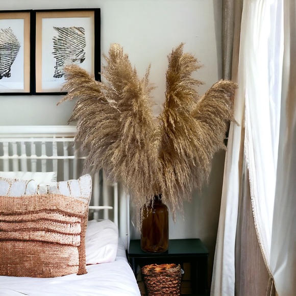 Natural Pampas Grass- 3 Stems - Picture 4 of 13